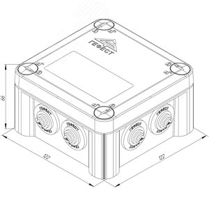Миниатюра 6