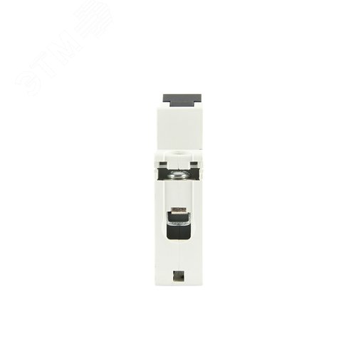 Миниатюра 9