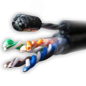 Миниатюра 3