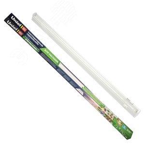 Миниатюра 7