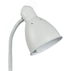 Миниатюра 7