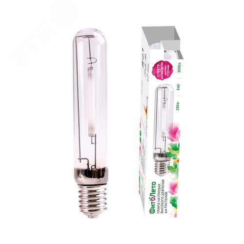 Миниатюра 9