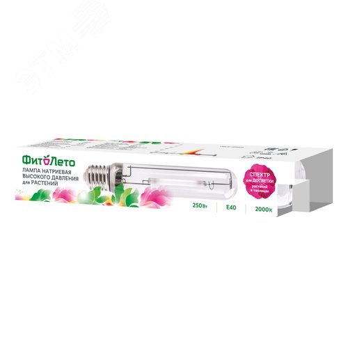 Миниатюра 7