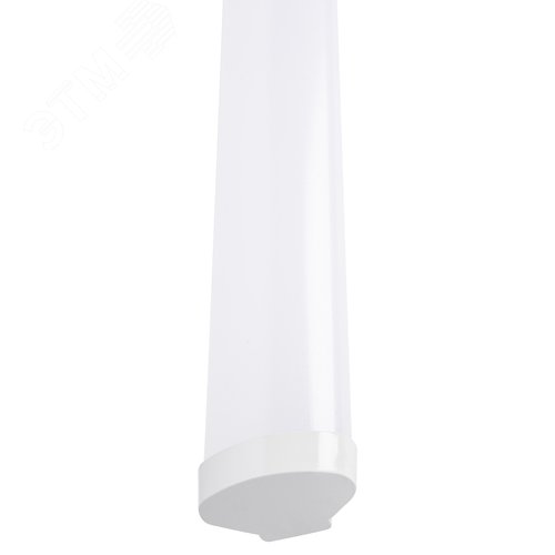 Миниатюра 8