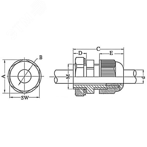 Миниатюра 4