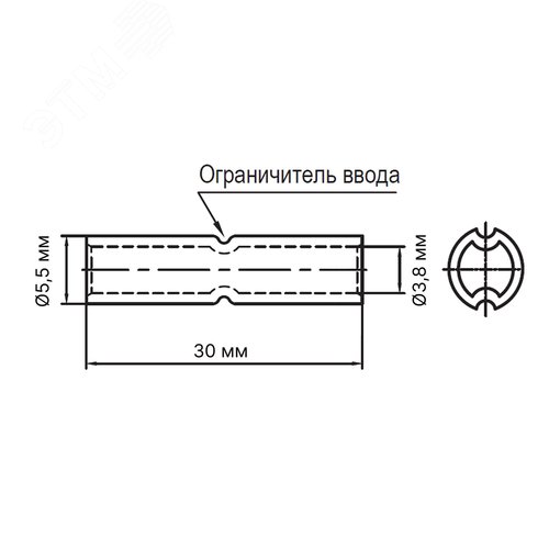 Миниатюра 3
