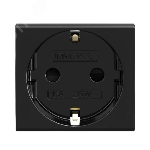 Розетка силовая, ЭУИ Вива (Viva), 2 мод., цвет че