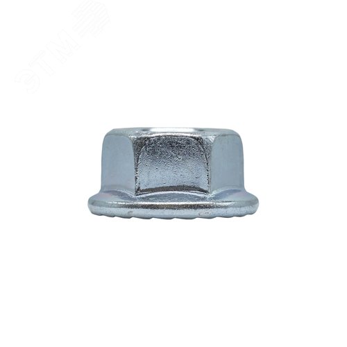 Миниатюра 7