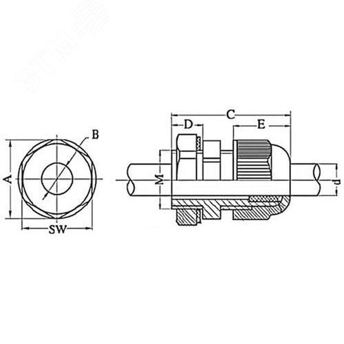 Миниатюра 4