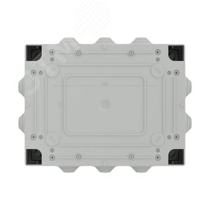 Миниатюра 4