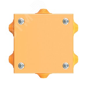 Миниатюра 4