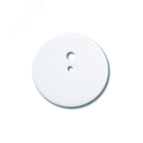 Крышка для коробки потолочной с крюком IP40 D=87мм