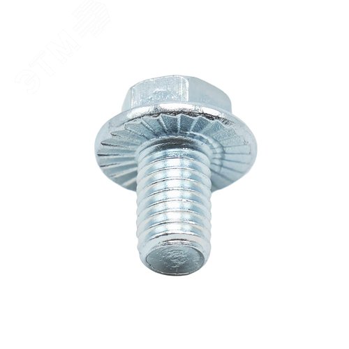 Миниатюра 5