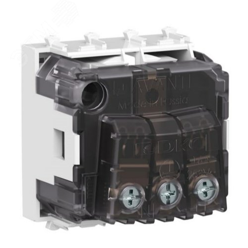 Миниатюра 4