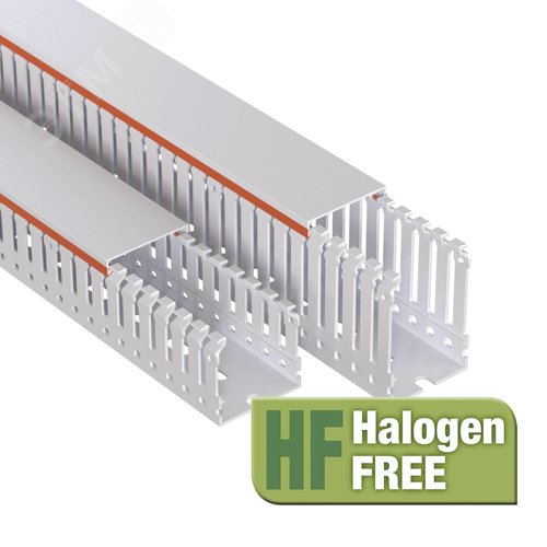 Миниатюра 5