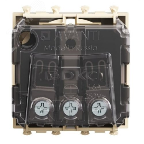 Миниатюра 3