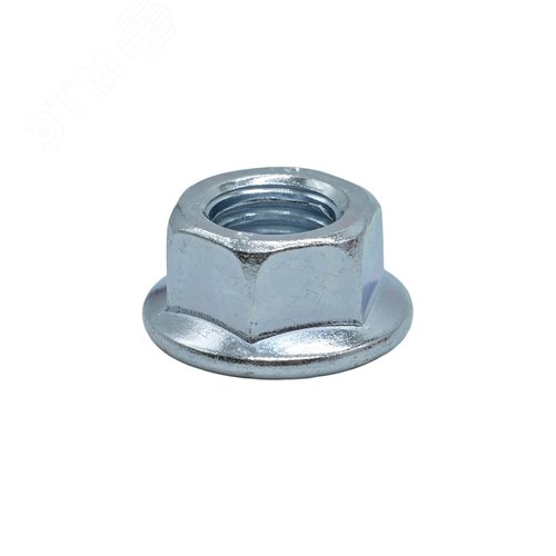 Миниатюра 6