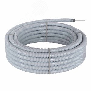 Миниатюра 4