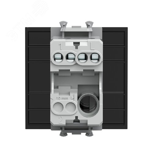 Миниатюра 3