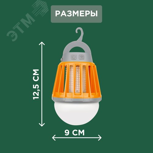 Миниатюра 17