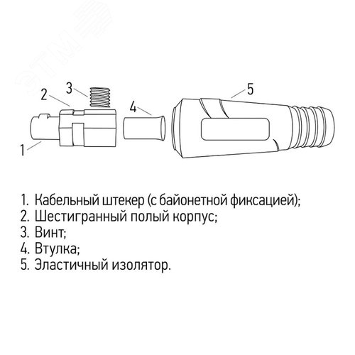 Миниатюра 5