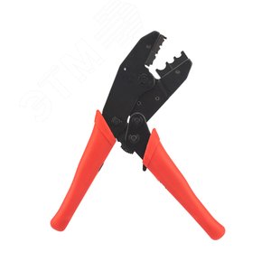 Миниатюра 6