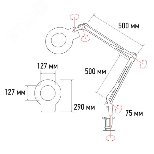 Миниатюра 5