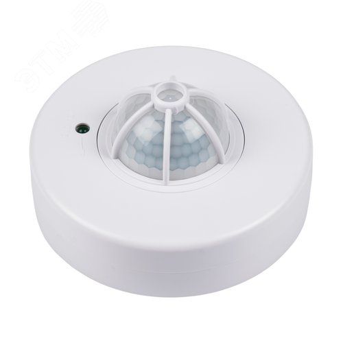 Миниатюра 3