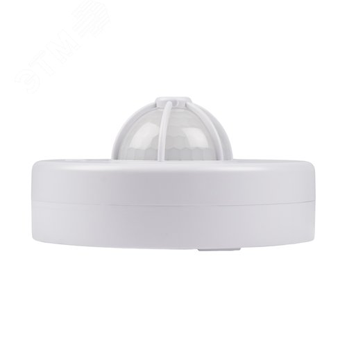 Миниатюра 4