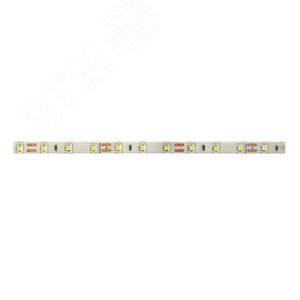 Лента светодиодная PLS PRO 2835/ 60-24V 4000K IP20 -5m