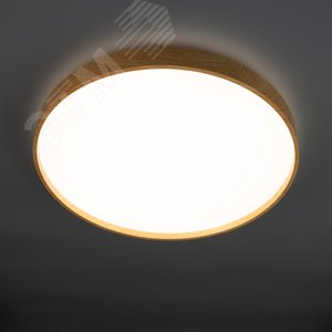 Миниатюра 10