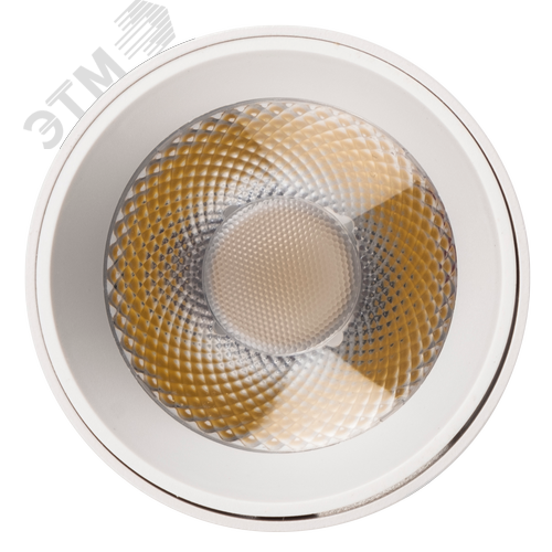Миниатюра 7
