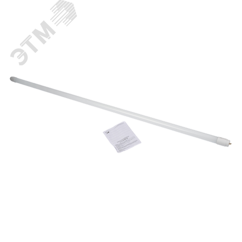 Миниатюра 3