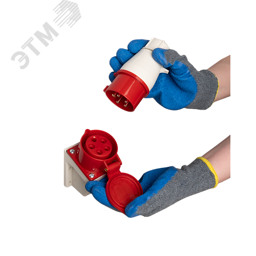 Миниатюра 4