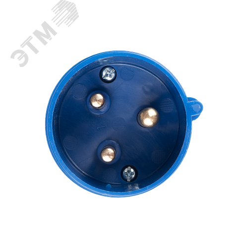 Миниатюра 5