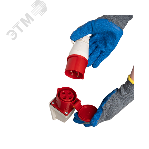 Миниатюра 4