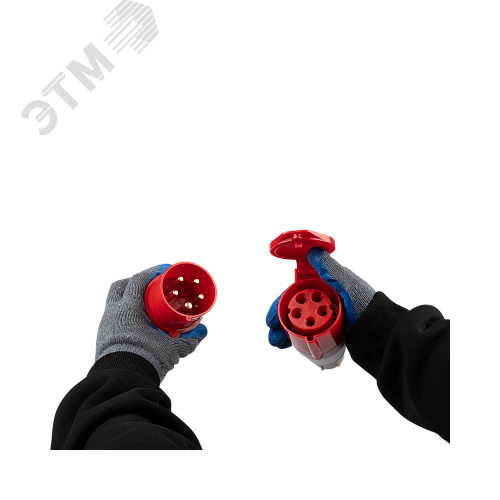 Миниатюра 6
