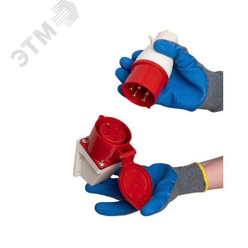 Миниатюра 7