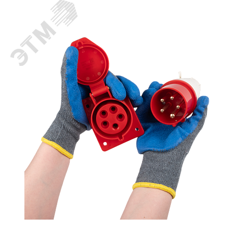 Миниатюра 8