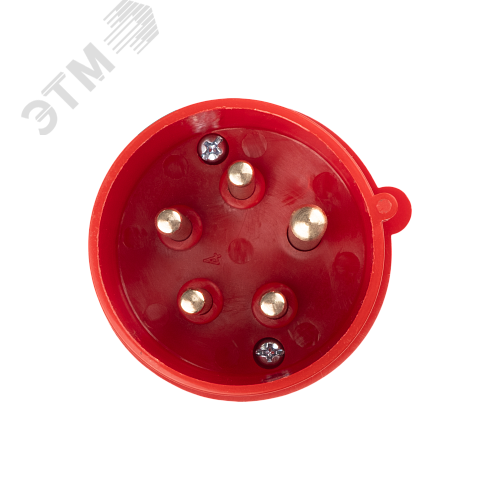Миниатюра 5