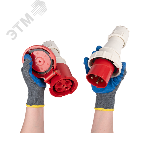 Миниатюра 4