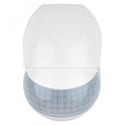 Миниатюра 6