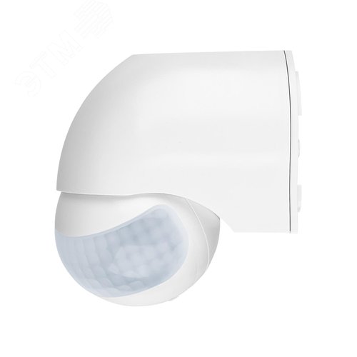 Миниатюра 7