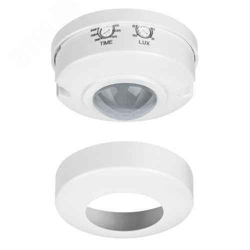 Миниатюра 3