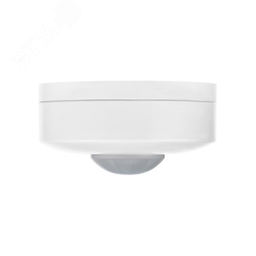 Миниатюра 4