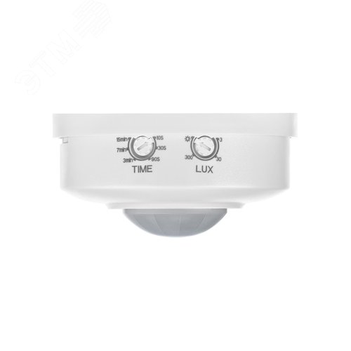 Миниатюра 5