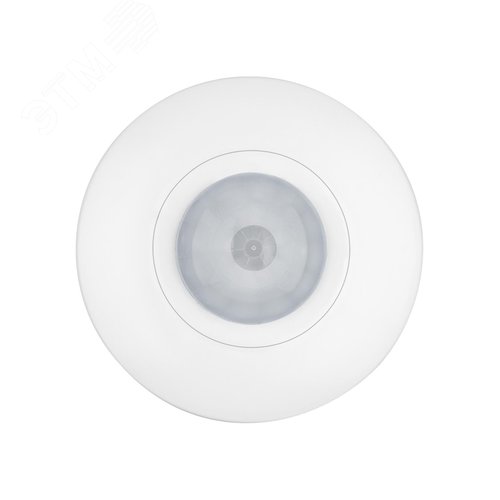 Миниатюра 6