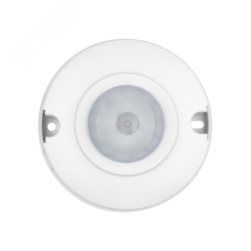 Миниатюра 7