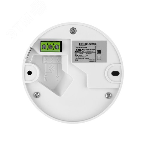 Миниатюра 8