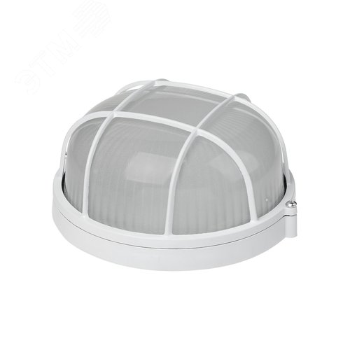 Миниатюра 3